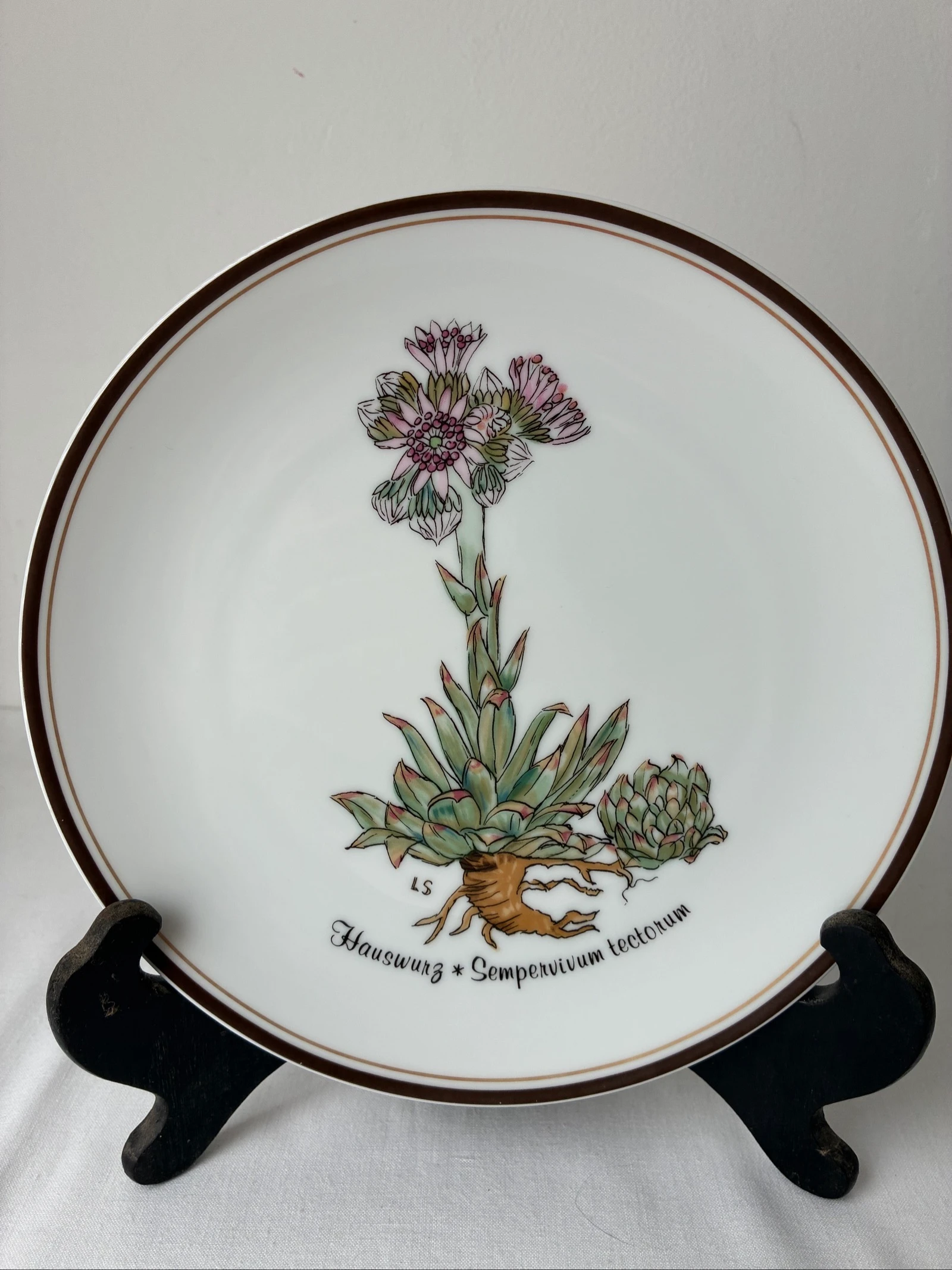 Rosenthal Wandbord Nr. 8 Hauswurz - Aus Liebe zur Natur